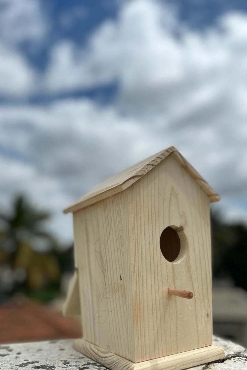 DIY Wooden Bird House